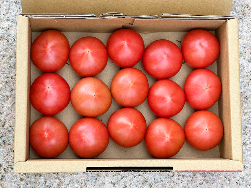 トマト1kg %